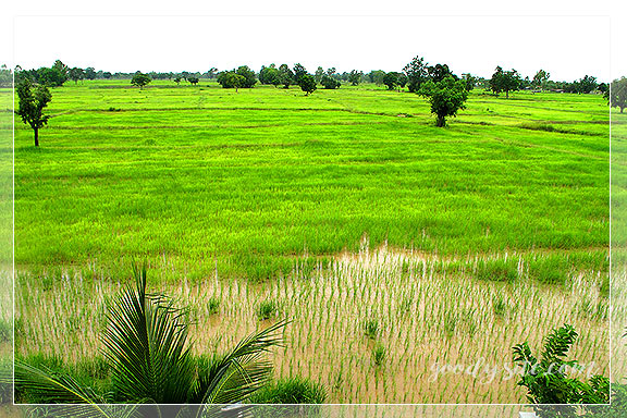 บุรีรัมย์ 10 ที่นี่ ที่ไหน In the Middle of Nowhere ตามรอยอุทยานประวัติศาสตร์