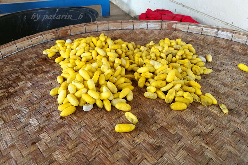 บุรีรัมย์ - วัดคาทอลิก - หมู่บ้านท่องเที่ยวไหม สนวนนอก