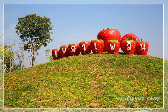 บุรีรัมย์ 4 เพลาเพลิน