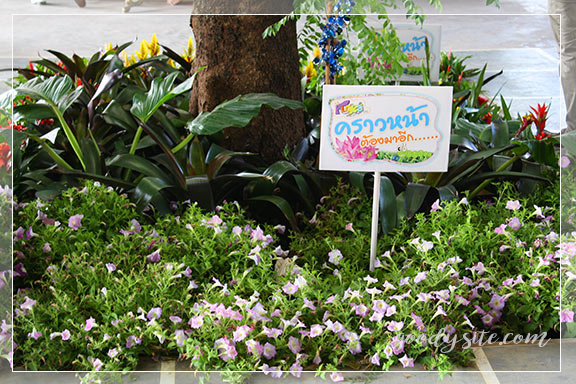 บุรีรัมย์ 4 เพลาเพลิน