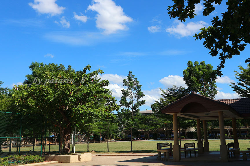 บุรีรัมย์ - วัดคาทอลิก - วัดแม่พระคนกลางแจกจ่ายพระหรรษทาน