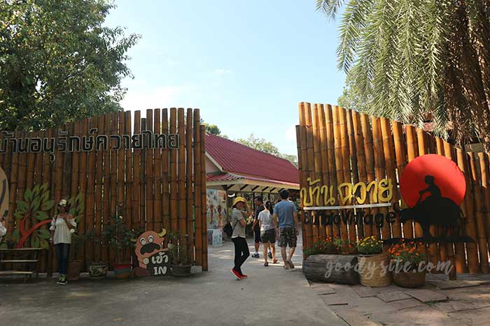 สุพรรณบุรี 2 บ้านอนุรักษ์ควายไทย