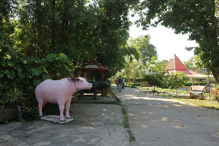 สุพรรณบุรี 2 บ้านอนุรักษ์ควายไทย