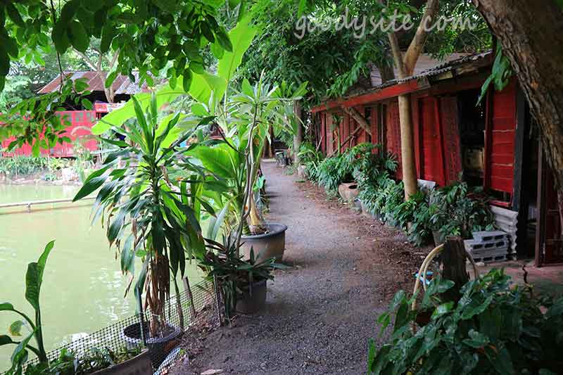สระบุรี 3 - บ้านไร่กาแฟ