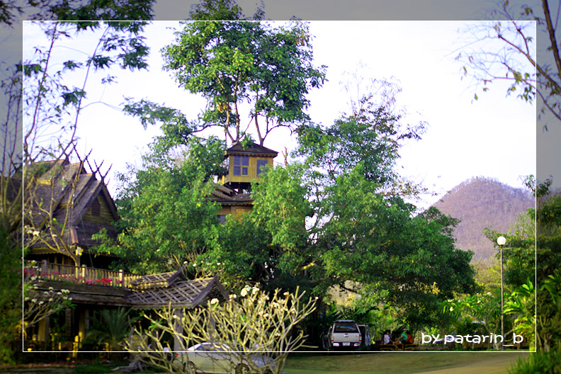 ปาย 6 ดอยอ่างขาง