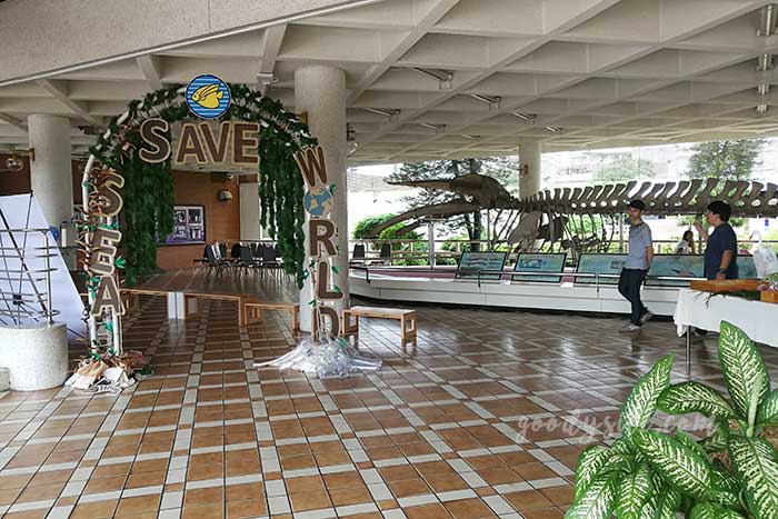 ศรีราชา 1 พิพิธภัณฑ์สัตว์น้ำ บางแสน