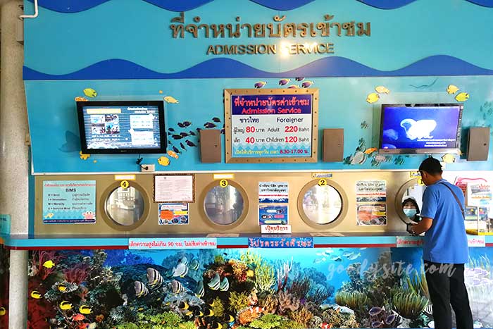 ศรีราชา 1 พิพิธภัณฑ์สัตว์น้ำ บางแสน