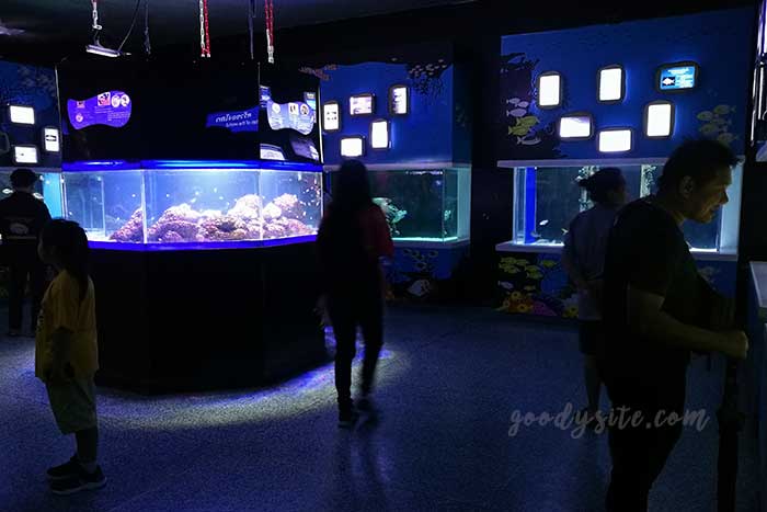ศรีราชา 1 พิพิธภัณฑ์สัตว์น้ำ บางแสน
