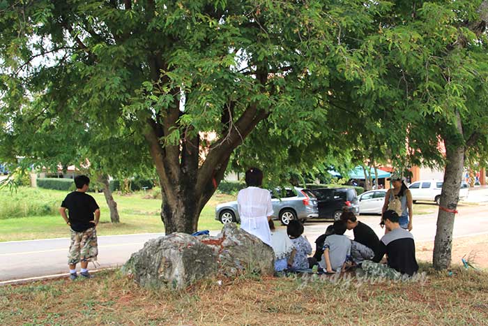 ฟาร์มโคนม สระบุรี 2 ฟาร์มโคนม