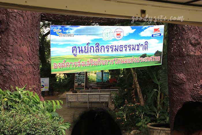 ฟาร์มโคนม สระบุรี 2 ฟาร์มโคนม