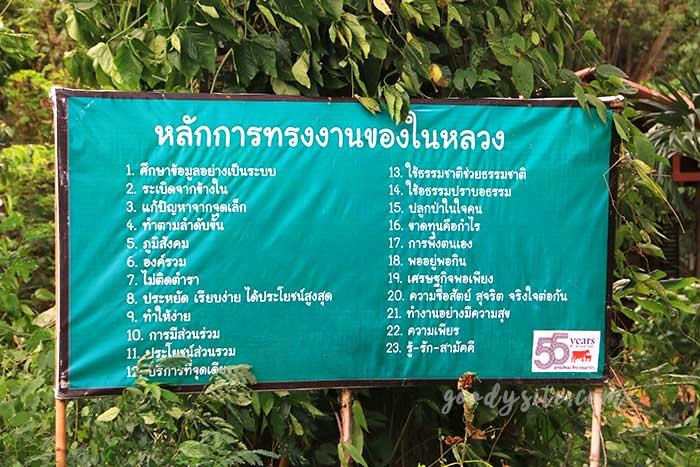 ฟาร์มโคนม สระบุรี 2 ฟาร์มโคนม