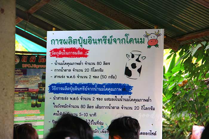 ฟาร์มโคนม สระบุรี 2 ฟาร์มโคนม