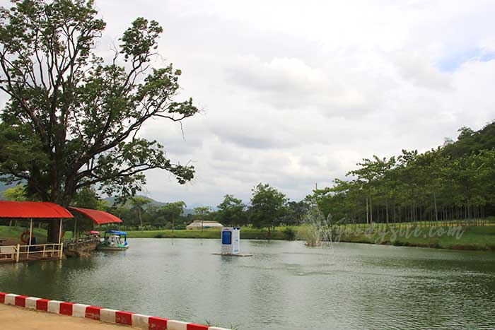 ฟาร์มโคนม สระบุรี 2 ฟาร์มโคนม