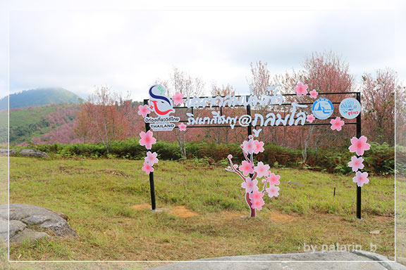ภูลมโล 4 - ภูลมโล