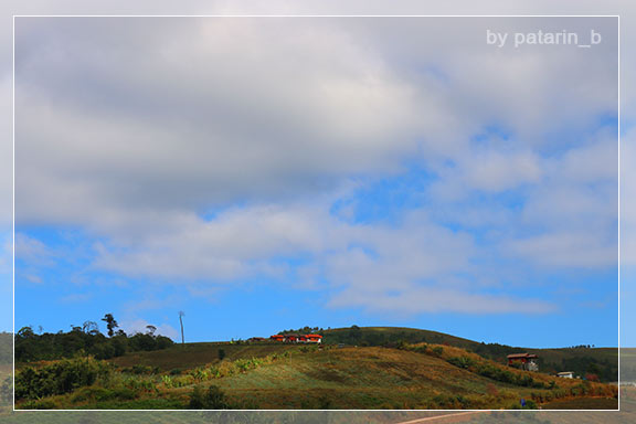 ภูลมโล 2 - ภูลมโล-ที่พัก-ร่องกล้ากรีนวิว