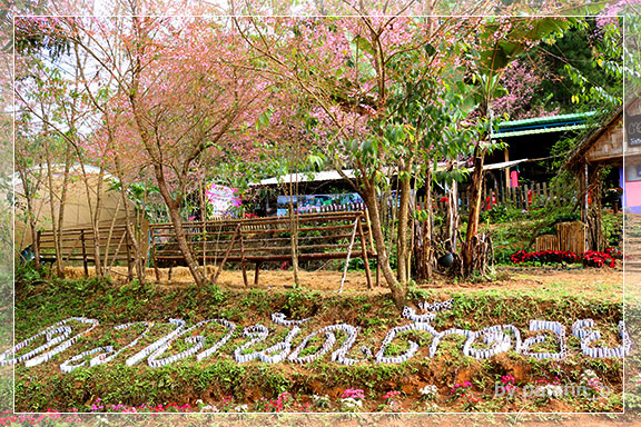 ภูลมโล 2 - ภูลมโล-ที่พัก-ร่องกล้ากรีนวิว