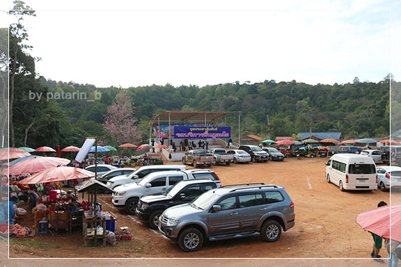 ภูลมโล 2 - ภูลมโล-ที่พัก-ร่องกล้ากรีนวิว
