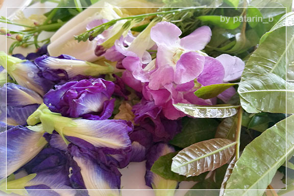 ภูลมโล 13 - ครัวติดอู่ จังหวัดอุทัยธานี