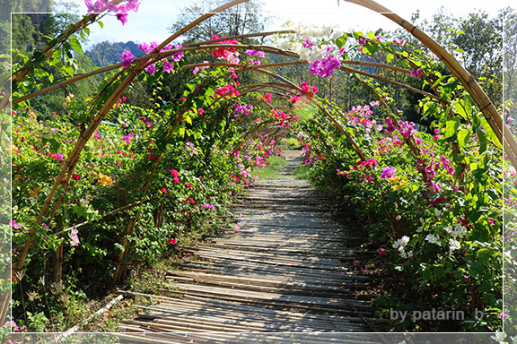 ภูลมโล 7 - บ้านไร่ภูตะวัน