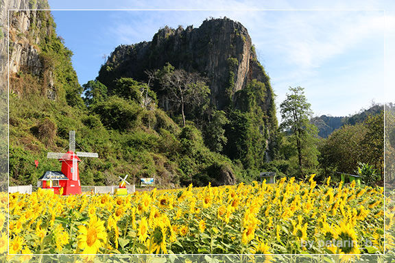ภูลมโล 7 - บ้านไร่ภูตะวัน