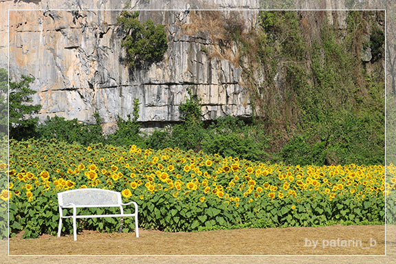 ภูลมโล 7 - บ้านไร่ภูตะวัน