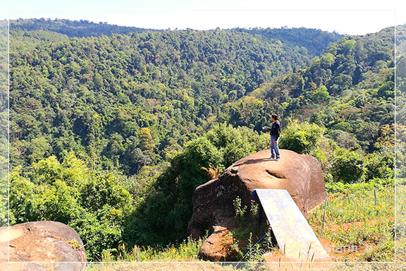 ภูลมโล 5 - ภูหินร่องกล้า