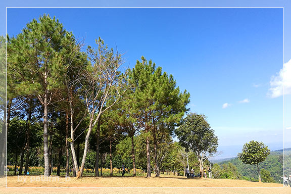 ภูลมโล 5 - ภูหินร่องกล้า
