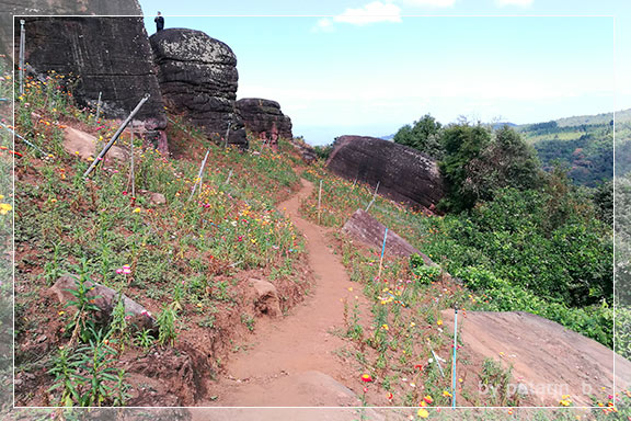 ภูลมโล 5 - ภูหินร่องกล้า