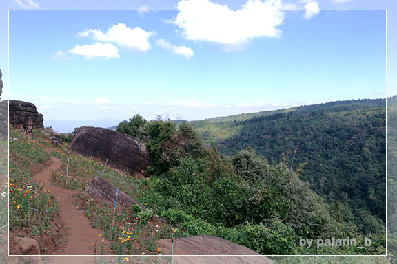 ภูลมโล 5 - ภูหินร่องกล้า