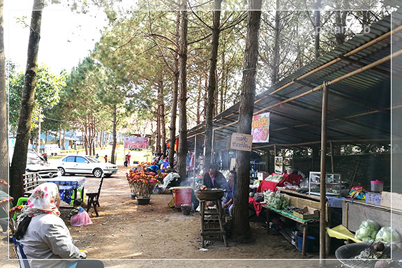 ภูลมโล 5 - ภูหินร่องกล้า