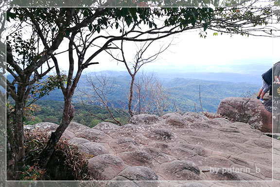 ภูลมโล 5 - ภูหินร่องกล้า