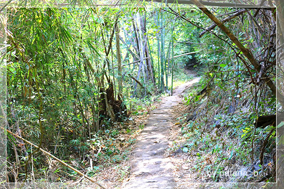 ภูลมโล 12 - ถ้ำพุหวาย วนอุทยานถ้ำเขาวง จ. อุทัยธานี