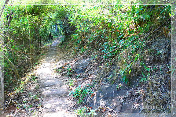 ภูลมโล 12 - ถ้ำพุหวาย วนอุทยานถ้ำเขาวง จ. อุทัยธานี