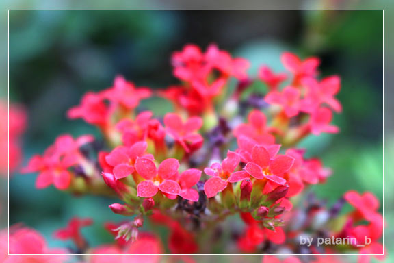 ภูลมโล 11 - วัดถ้ำเขาวง