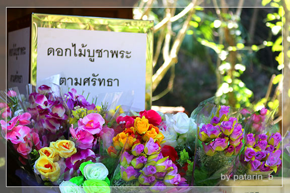 ภูลมโล 11 - วัดถ้ำเขาวง