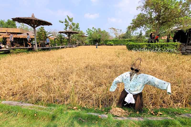 มองเทรอส์ คาเฟ่ แอนด์ ฟาร์ม (Montreux Cafe & Farm) อีกสักครั้ง