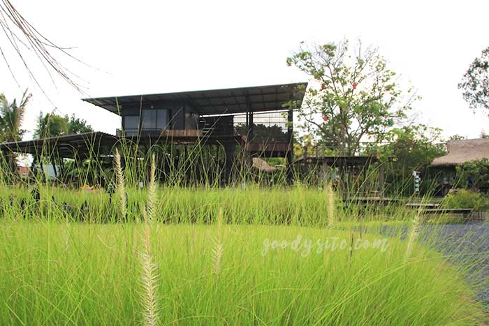 ฟาร์มโคนม สระบุรี 5 มองเทรอส์คาเฟ่ แอนด์ ฟาร์ม
