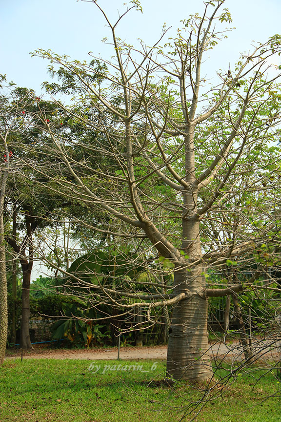 รังสิต 1 สวรรค์บนดิน