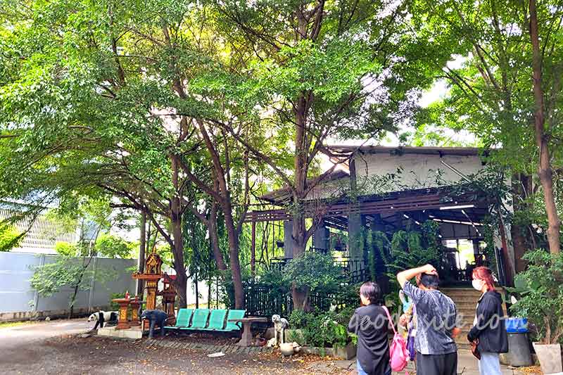 รังสิต 1 ร้านต้นไทร