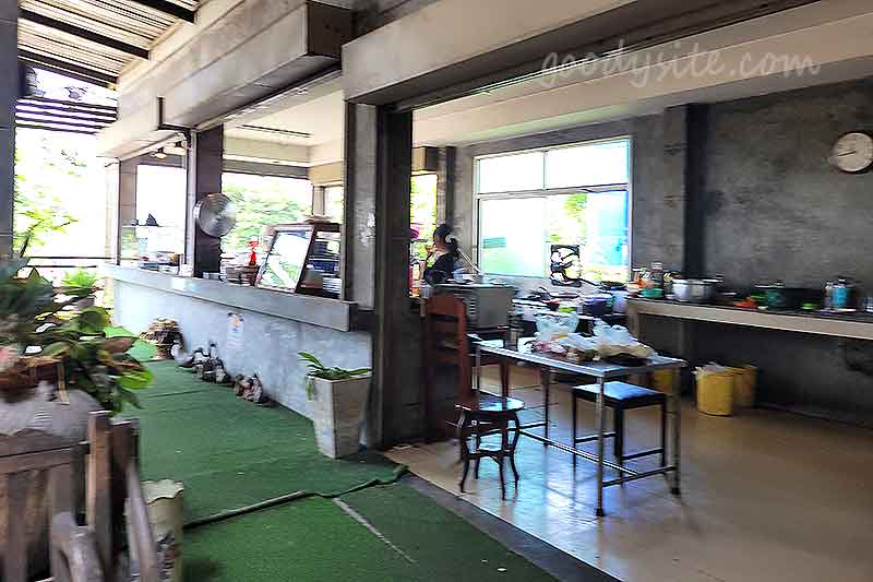 รังสิต 1 ร้านต้นไทร