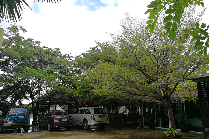 ร้านอาหาร เพลิน เพลิน Ploen Ploen Restaurant