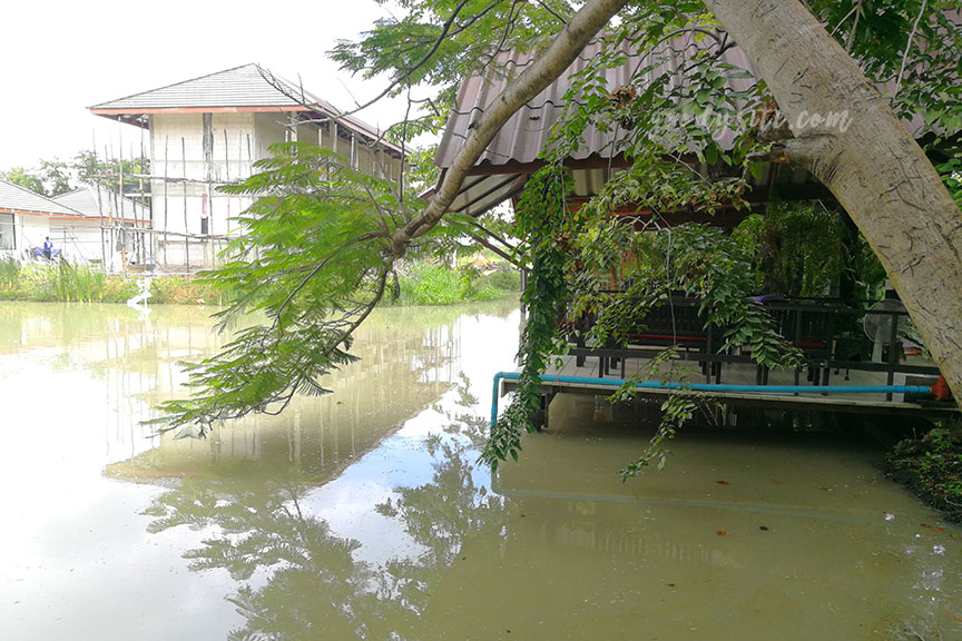 ร้านอาหาร เพลิน เพลิน Ploen Ploen Restaurant