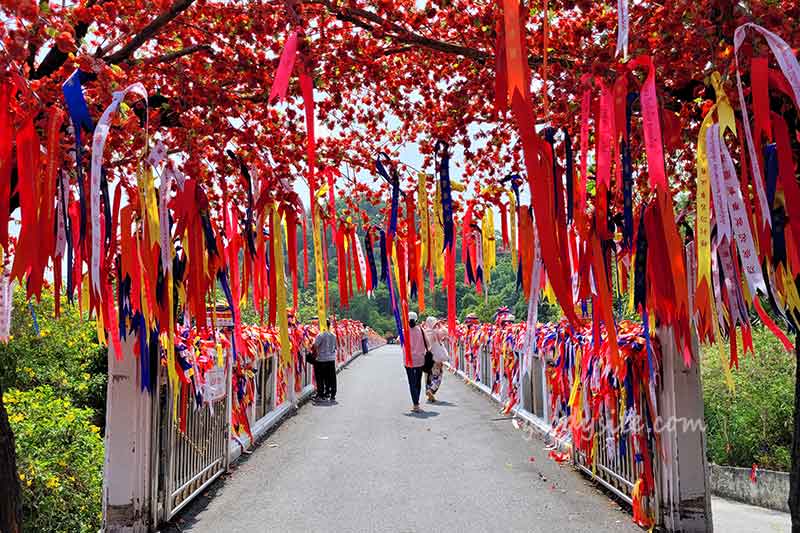 วัดเขาตะแบก จังหวัดชลบุรี วิวสวย มีสกายวอล์ก