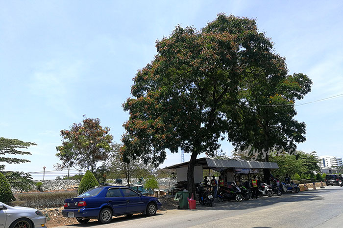 ร้านน้ำ อิ่มแปล้ แฮปปี้คัพ