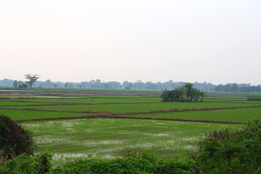 สุโขทัย 8 วัดหนองโว้ง สุโขทัย