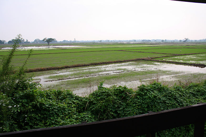 สุโขทัย 8 วัดหนองโว้ง สุโขทัย