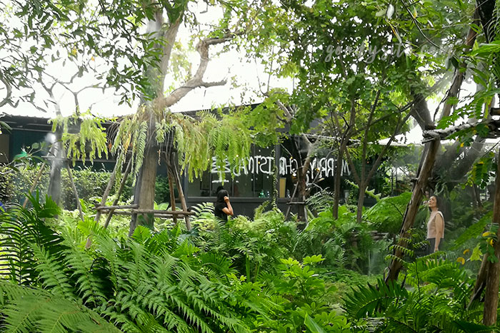 ร้าน หมอก คาเฟ่ แขวงรามอินทรา