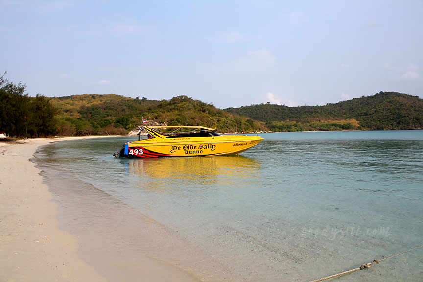 พัทยา-เกาะไผ่ 3: เกาะไผ่