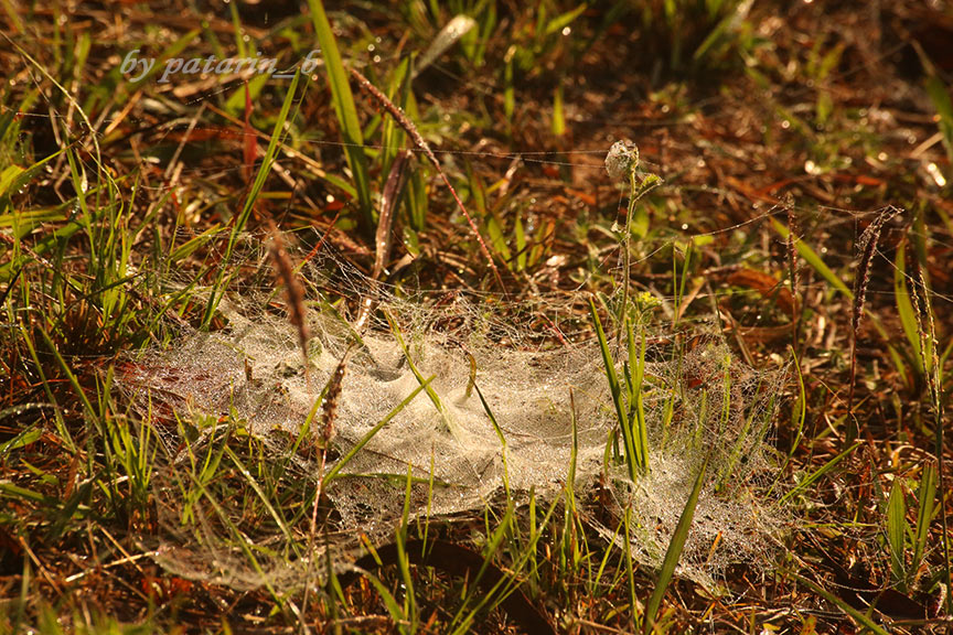 เพชรบูรณ์ 5 อ่างเก็บน้ำรัตนัย