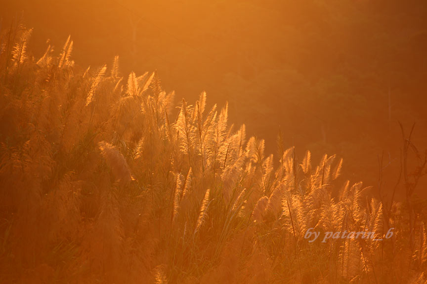 "ตะวันลับฟ้า" ความสวยงามของตะวันลับฟ้า บอกอะไรในชีวิตเราได้บ้าง